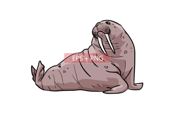 Download Walrus Mammals Animal Illustration - Animal illustration Collection